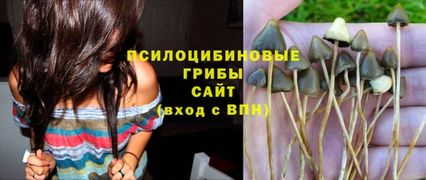 каннабис Алзамай