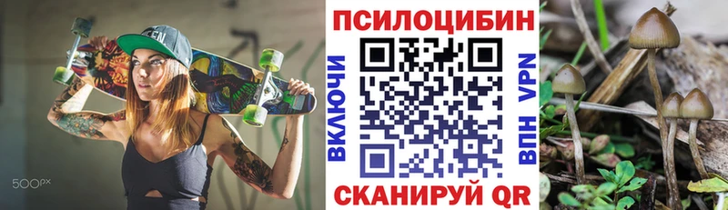 Псилоцибиновые грибы мицелий  Пролетарск 