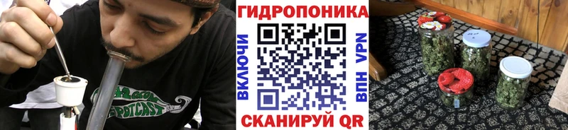Бошки Шишки OG Kush Пролетарск