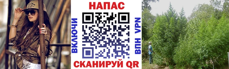 МЕГА онион  Пролетарск  Бошки Шишки план 